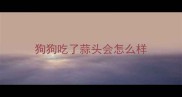 狗狗吃了蒜头会怎么样