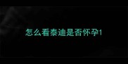 怎么看泰迪是否怀孕