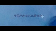 犬国产疫苗怎么看真假