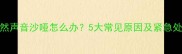 猫咪突然声音沙哑怎么办5大常见原因及紧急处理指南