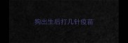 狗出生后打几针疫苗