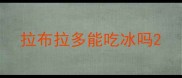 拉布拉多能吃冰吗