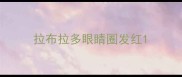 拉布拉多眼睛圈发红