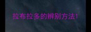 拉布拉多的辨别方法