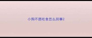 小狗不愿吃食怎么回事