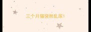 三个月猫突然乱尿