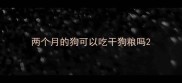 两个月的狗可以吃干狗粮吗