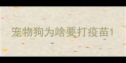 宠物狗为啥要打疫苗