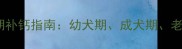 哈士奇全生命周期补钙指南幼犬期成犬期老年期科学补钙全