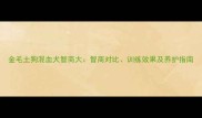 金毛土狗混血犬智商大智商对比训练效果及养护指南