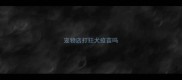 宠物店打狂犬疫苗吗