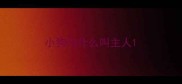 小狗为什么叫主人