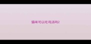 猫咪可以吃鸡汤吗