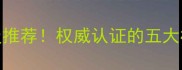 拉布拉多犬冠军级推荐权威认证的五大核心特点与饲养指南