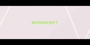 成年拉布拉多打了