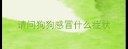 请问狗狗感冒什么症状