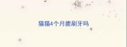 猫猫4个月能刷牙吗