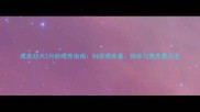博美幼犬2月龄喂养指南科学喂食量频率与营养要点全