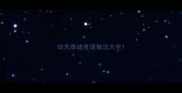 幼犬泰迪食谱做法大全