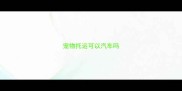 宠物托运可以汽车吗