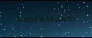 拉布拉多每天都在掉毛