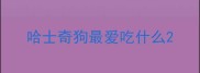 哈士奇狗最爱吃什么