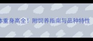 哈士奇成年体重身高全附饲养指南与品种特性附对比图