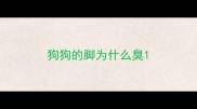狗狗的脚为什么臭