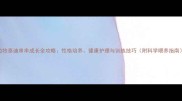边牧泰迪串串成长全攻略性格培养健康护理与训练技巧附科学喂养指南