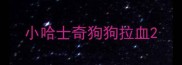 小哈士奇狗狗拉血