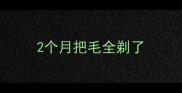2个月把毛全剃了