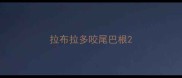 拉布拉多咬尾巴根