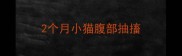 2个月小猫腹部抽搐