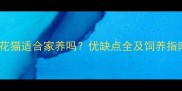 狸花猫适合家养吗优缺点全及饲养指南