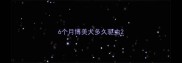 6个月博美犬多久驱虫