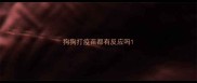 狗狗打疫苗都有反应吗
