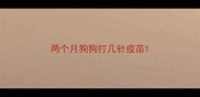 两个月狗狗打几针疫苗