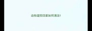 边牧遛完回家如何清洁