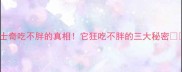 哈士奇吃不胖的真相它狂吃不胖的三大秘密