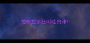 拉布拉多狂叫吐白沫