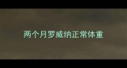 两个月罗威纳正常体重