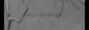 狗狗五个月好喜欢咬人
