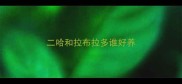 二哈和拉布拉多谁好养