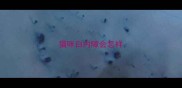 猫咪白内障会怎样