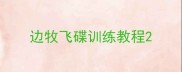 边牧飞碟训练教程