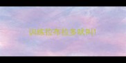 训练拉布拉多吠叫
