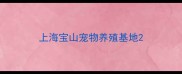 上海宝山宠物养殖基地