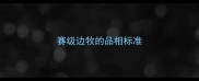 赛级边牧的品相标准