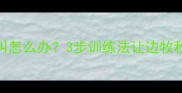 边牧见小孩狂叫怎么办3步训练法让边牧秒变护娃天使