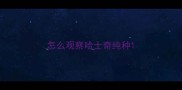 怎么观察哈士奇纯种